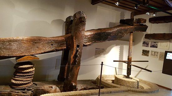 Museo dell'Olio d'Oliva